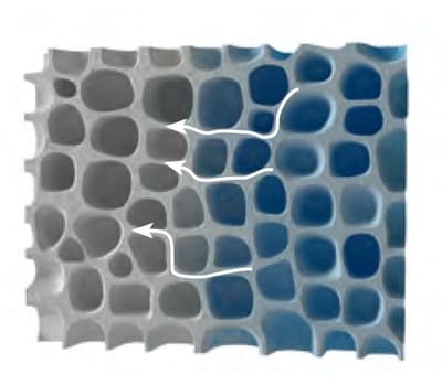 Muffaway Τριχοειδής διανομή